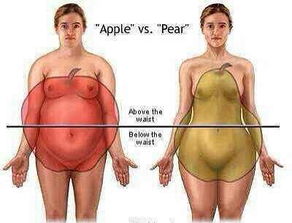 苹果型肥胖