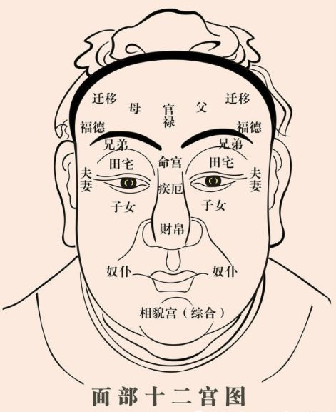 为何人脸叫五官 五官都是管什么的 