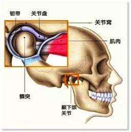 小心 大笑可能真的会 笑掉下巴