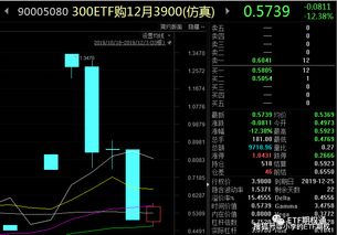  期权合约的主要内容包括,期权合同的主要内容 交易所