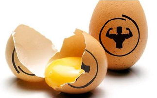 健身吃鸡蛋吃不吃蛋黄 