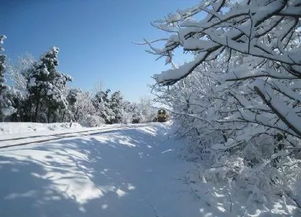 我太南了 南方人民还在用空调,这个地方却已经下雪了......