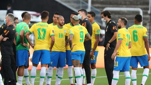巴西阿根廷比赛中断,巴西阿根廷世纪大战，赛场惊现中断黑幕！