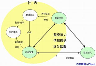 三种审计模式各自的基本内容包括哪些