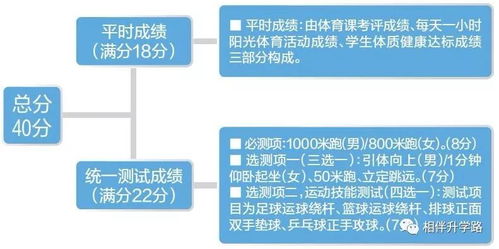 2022年诸暨中考685分以上有多少