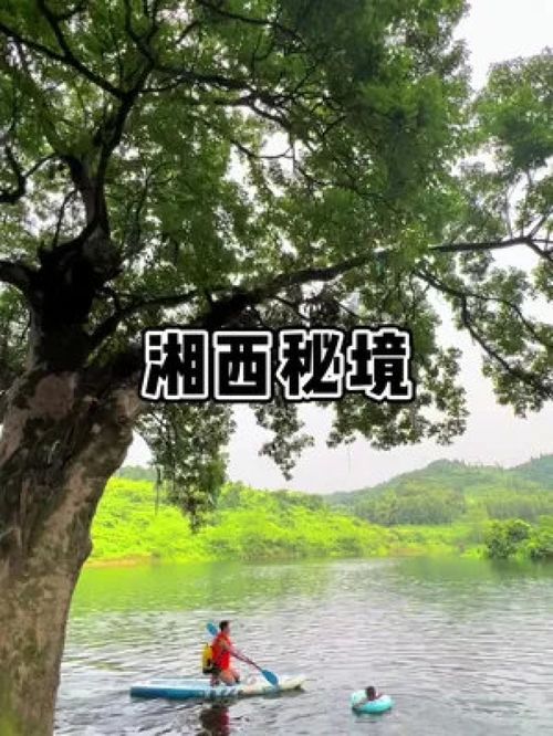 夏天无价格,享受沐浴阳光。