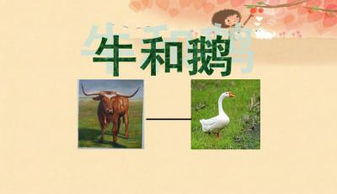 牛的介绍和特点,牛和鹅中我的性格是什么？