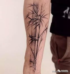 纹身素材 竹子纹身图案 