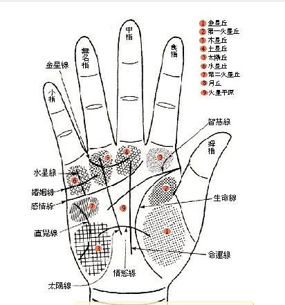 手纹图解,手纹图解：解读人类指纹的奥秘