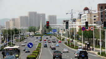 牡丹江虎园在什么位置(牡丹江市市中心有免费停车场)