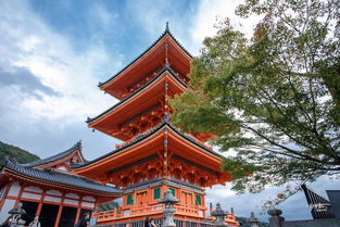 拜观音 祈姻缘 求学业,京都这三神圣之地有求必应