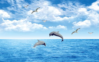 大海海豚海鸥风景壁画图片设计素材 高清模板下载 255.58MB 风景壁画大全 