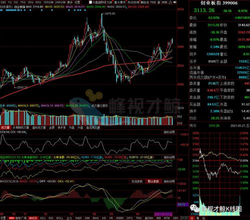 1992年5月21日股票风涨的5只股票是那几个