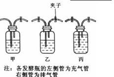 只进行无氧呼吸的动物（只进行无氧呼吸的动物是） 第1张