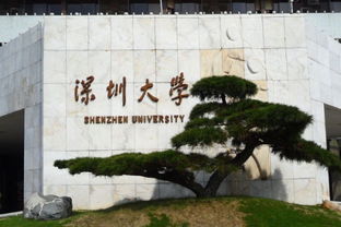 深圳大学是211吗,y深圳大学是否211大学？