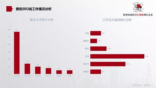 贵阳seo,助力企业抢占西南地区网络市场制高点