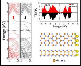 电子科技大学 祖小涛教授团队在 Scientific Reports 上发表高水平研究成果