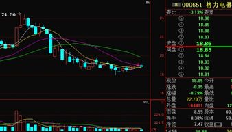 格力电器000651即将爆涨吗？今年股价会涨到多少？100或200？