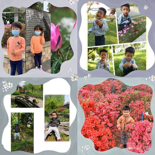 花雨南庭幼 夏天の味道 花雨南庭幼儿园立夏特别活动