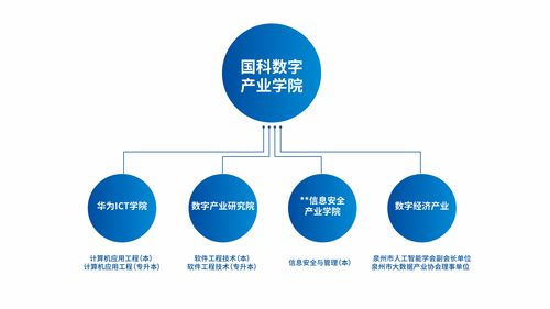 职业本科有哪些学校,职业本科：打造专业技能与实用