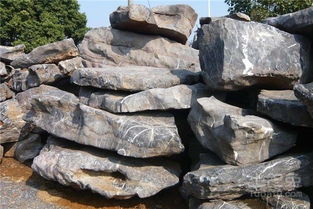 园林石有哪几种 不同的园林石的特点分别有哪些