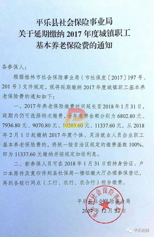 广西桂林市平乐县养老保险最低档几多 (桂林平乐灵活就业养老保险)