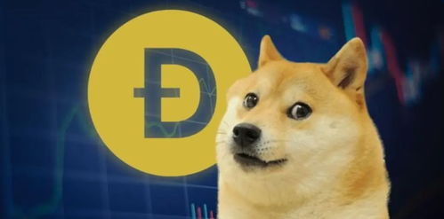 doge狗狗币今日最新消息,狗币的价格再次飙升。