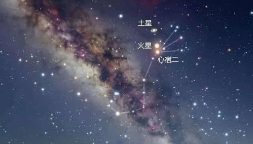 预言2020年灾难的火星男孩重现江湖 关于中国的信息有点多