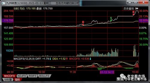 资金盘和股票是一个性质吗