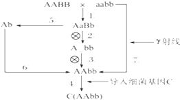 求助统计生存分析中 Exp（B）代表什