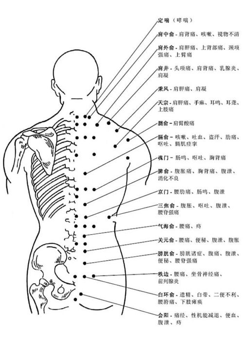 人体各部分的名称 文章阅读中心 急不急图文 Jpjww Com