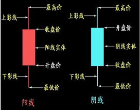 我想学习如何玩股票？