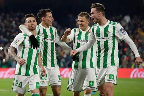 osasuna đấu với betis,Giới thiệu về Osasuna