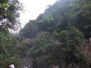 邻水 华蓥山旅游区天气(华蓥山冬季攻略冬季游览华蓥山的最佳时间)