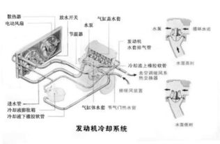 毕业论文汽车水冷却发动机目的及意义