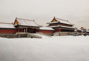 实拍 2015北京立春后的第一场雪 图 