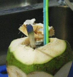 椰子怎么打开 椰子怎么打开图解