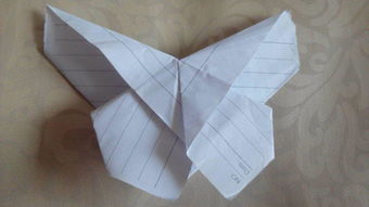 蝴蝶折纸怎么弄好看？蝴蝶怎么叠最简单的方法(蝴蝶怎么折折纸)