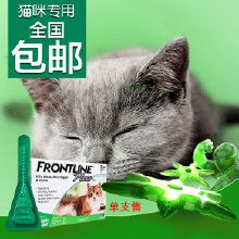 小猫滴剂的使用方法是什么（如何正确使用小猫驱虫滴剂）