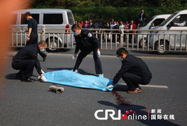 杭州萧山一男子高空坠落 被车碾压当场死亡 