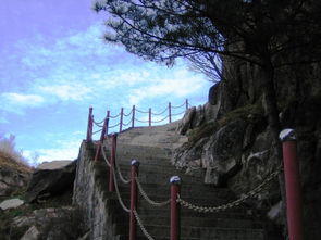 暑期武汉到泰山旅游报价 暑期武汉到泰山旅游最佳季节 乐景旅游网的商家空间 游多多旅游自助超市 