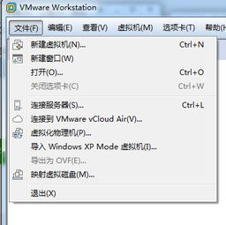 vmware虚拟机怎么和本地主机直接复制粘贴文件(如何给vm虚拟主机转移文件)