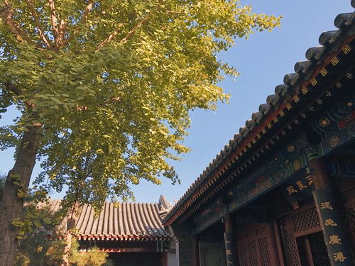 财神爷常驻西二环,逛寺庙还能领对象 北京的秋天别光看银杏