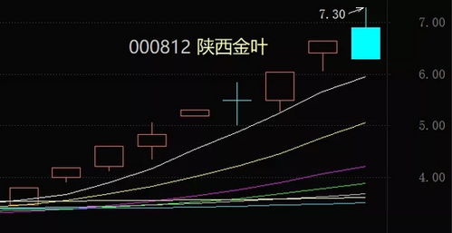 陕西金叶今日股票价外位多少