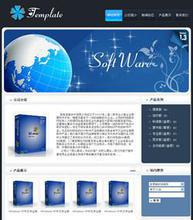 软件和网站制作图片
