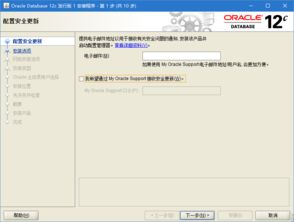 oracle更新数据,Oracle 数据更新概述