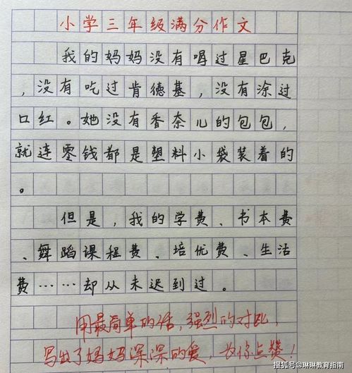 爸爸的爱作文