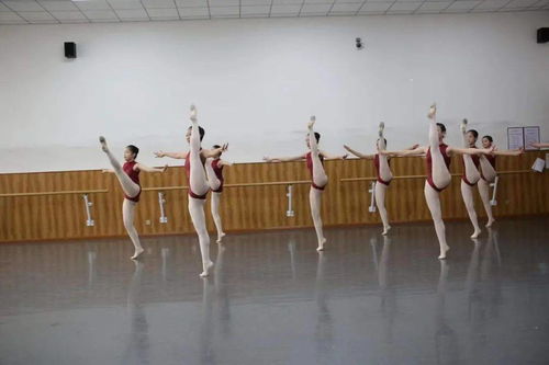 高考舞蹈专业课考什么,高考舞蹈专业课：一场视觉与艺术的完美结合