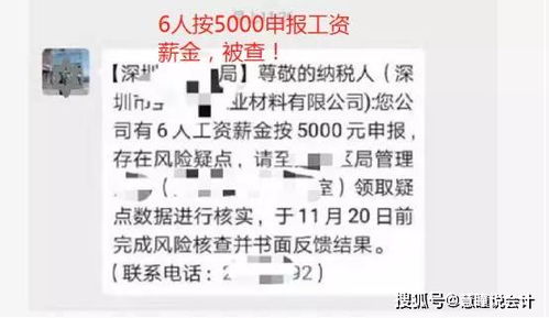 税务局给拷了个风险名单 有我们企业说是让写个报告 怎么写啊 求助各位高人 急 谢谢啦