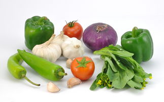 青菜是什么植物类别,疏菜,水果,饮料是按什么分类的？